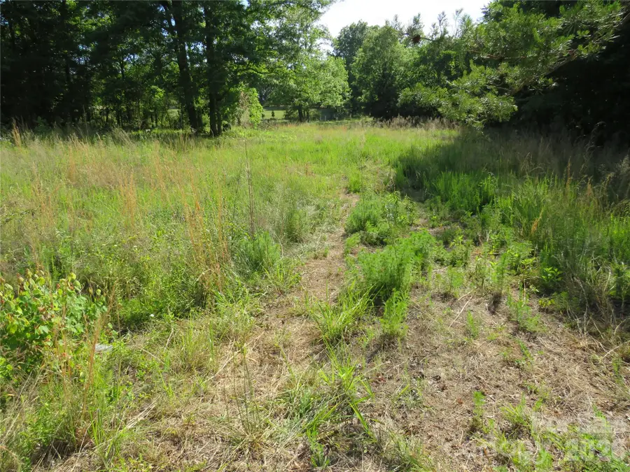0 Blue Sapphire Lane, Rutherfordton, NC 28139 - #2