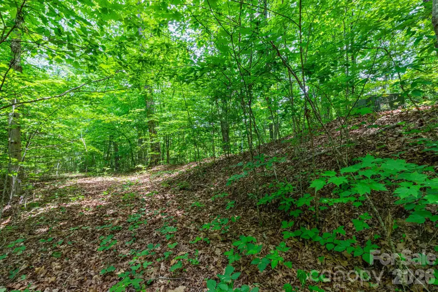 46 Widgeon Way, Whittier, NC 28789 - #3