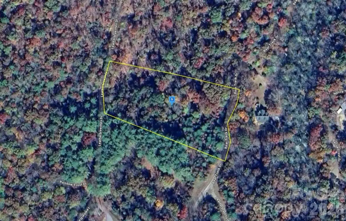 51 Bear Track Drive, Tuckasegee, NC 28783 - #1