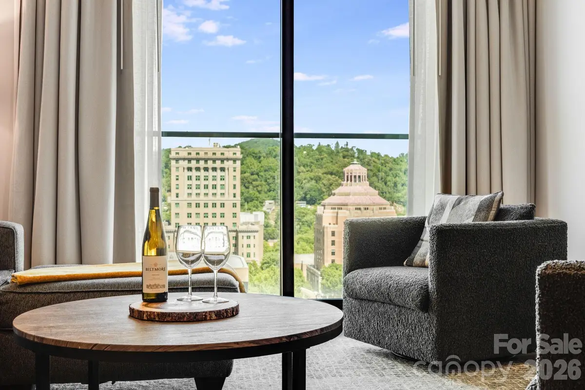 7 Patton Avenue #1006, Asheville, NC 28801 - #1
