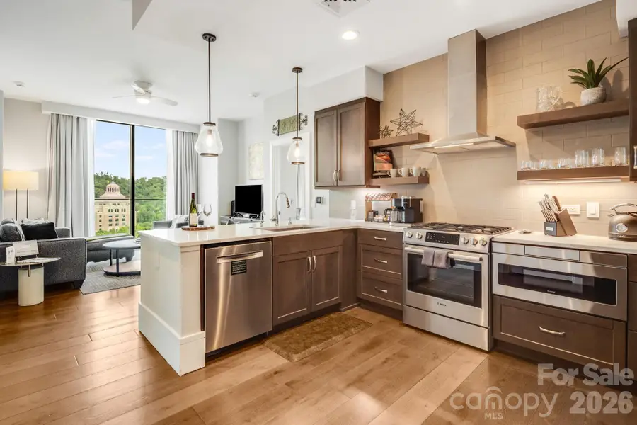 7 Patton Avenue #1006, Asheville, NC 28801 - #3