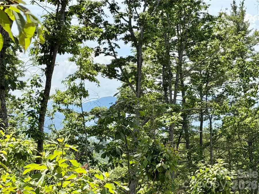 19 Villa Nova Drive, Asheville, NC 28804 - #2