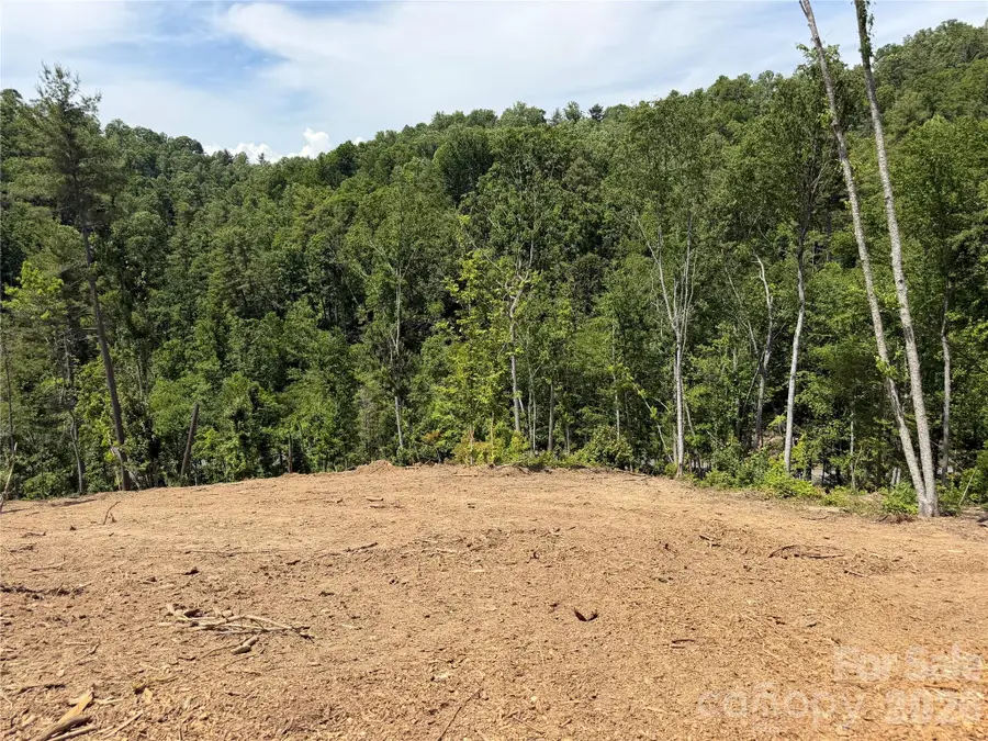 19 Villa Nova Drive, Asheville, NC 28804 - #3