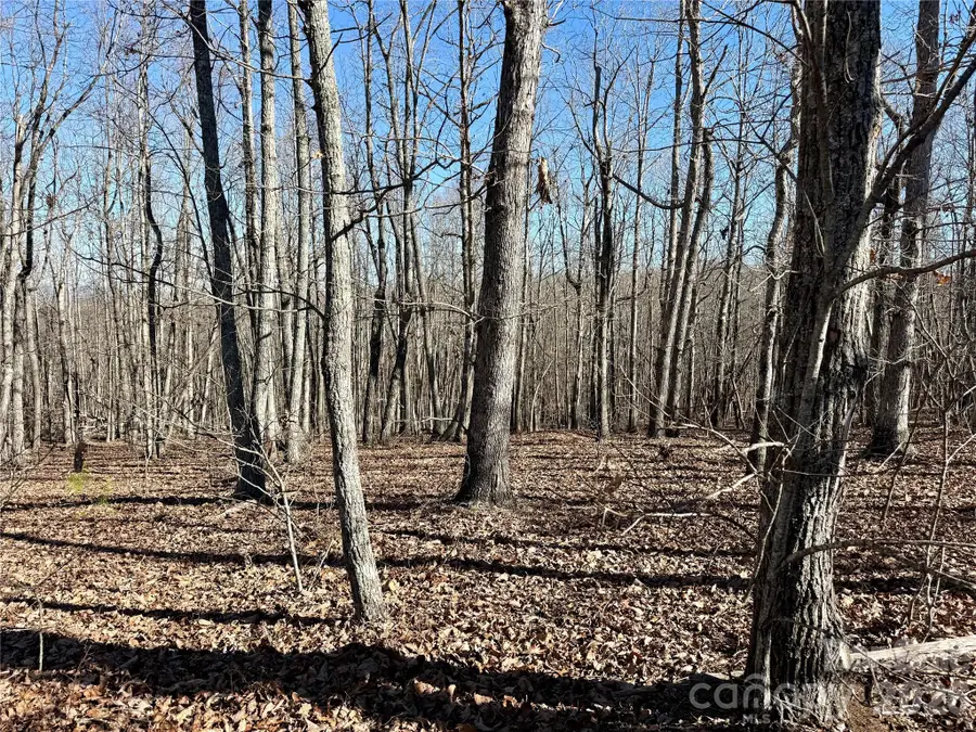 108 Woodgate Drive #94, Nebo, NC 28761 - #3