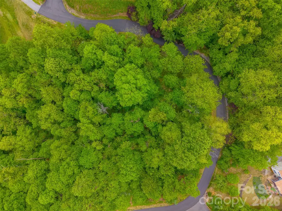 Lot 104 Campbell Mountain Drive, Waynesville, NC 28785 - #2