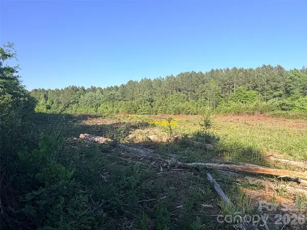 Lot 2 Doggett Grove Road, Forest City, NC 28043