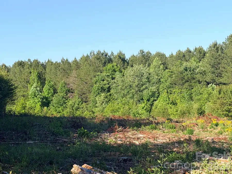 Lot 2 Doggett Grove Road, Forest City, NC 28043 - #2
