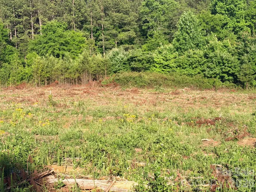 Lot 2 Doggett Grove Road, Forest City, NC 28043 - #3