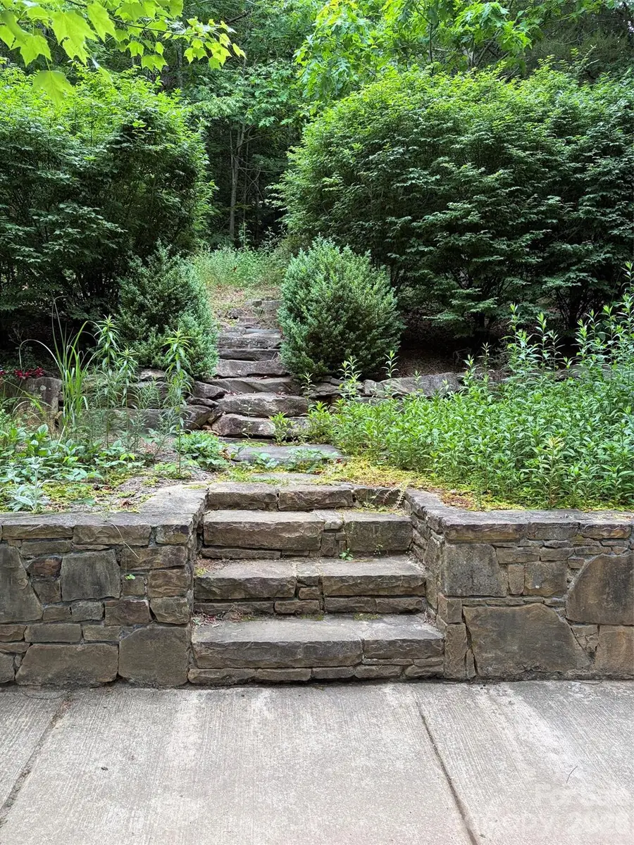 46 Cheshire Drive, Black Mountain, NC 28711 - #3