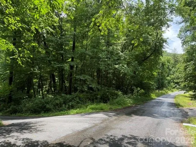 9999 Independence Boulevard, Asheville, NC 28805 - #2