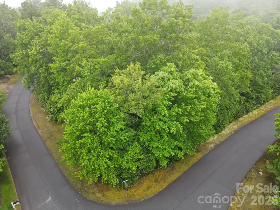 101 Hawks Crest, Brevard, NC 28712 - #3
