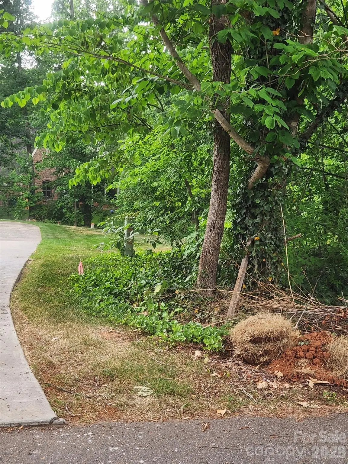 205 7th Street Place Ne, Conover, NC 28613 - #1