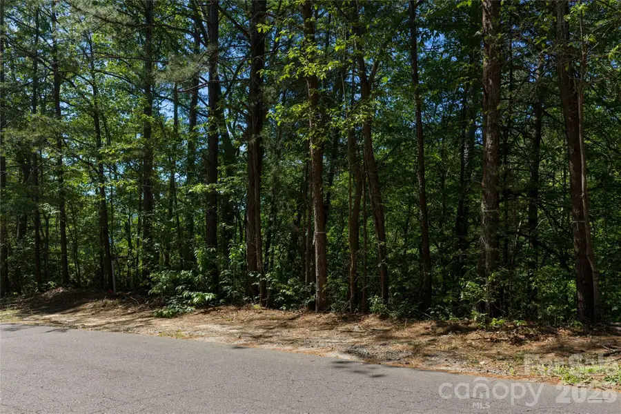 000 Dogwood Drive, Lake Lure, NC 28746 - #2