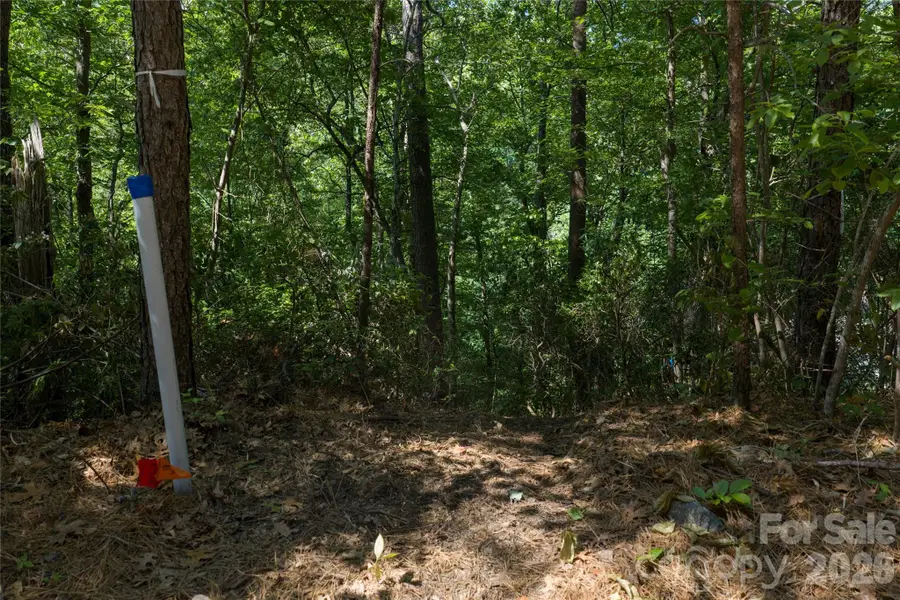 000 Dogwood Drive, Lake Lure, NC 28746 - #3