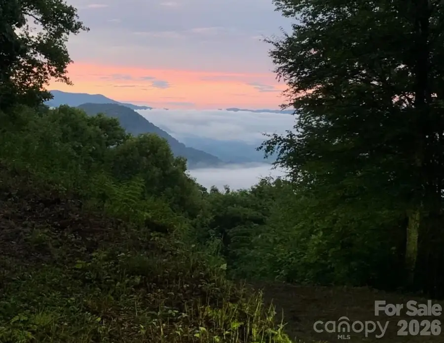 105 Dotsu Trail, Maggie Valley, NC 28751 - #3