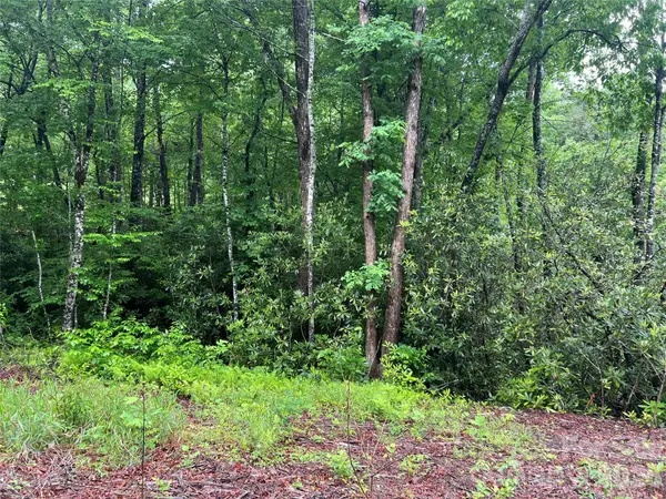 Address Withheld By Seller, Sylva, NC 28779