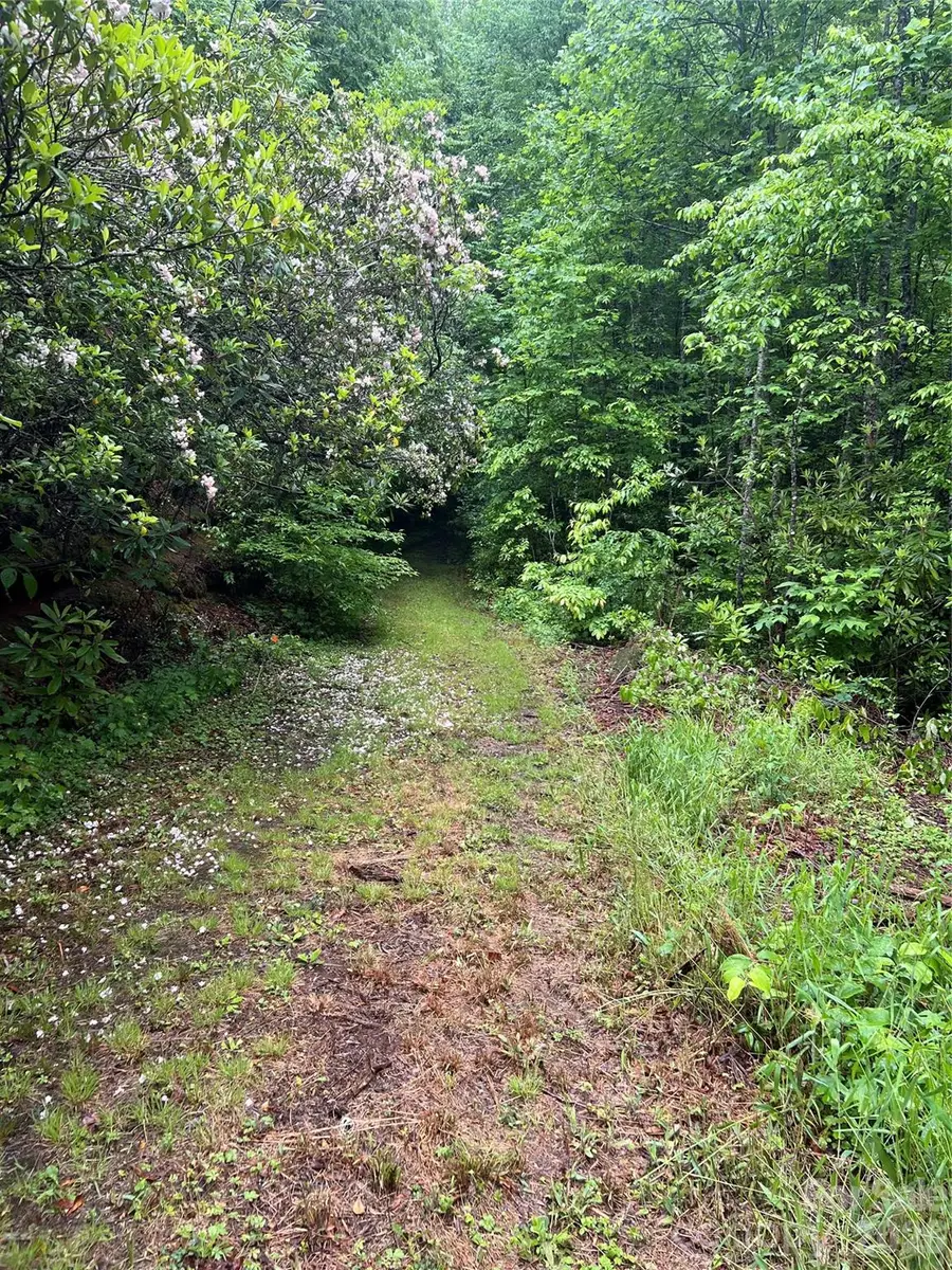 Address Withheld By Seller, Sylva, NC 28779 - #2