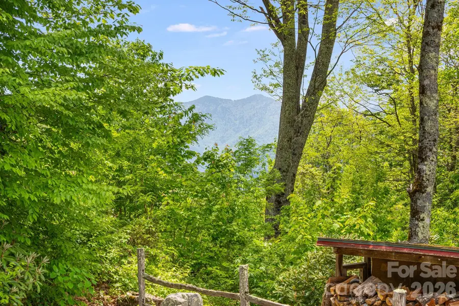 642 Scenic View Road, Maggie Valley, NC 28751 - #3