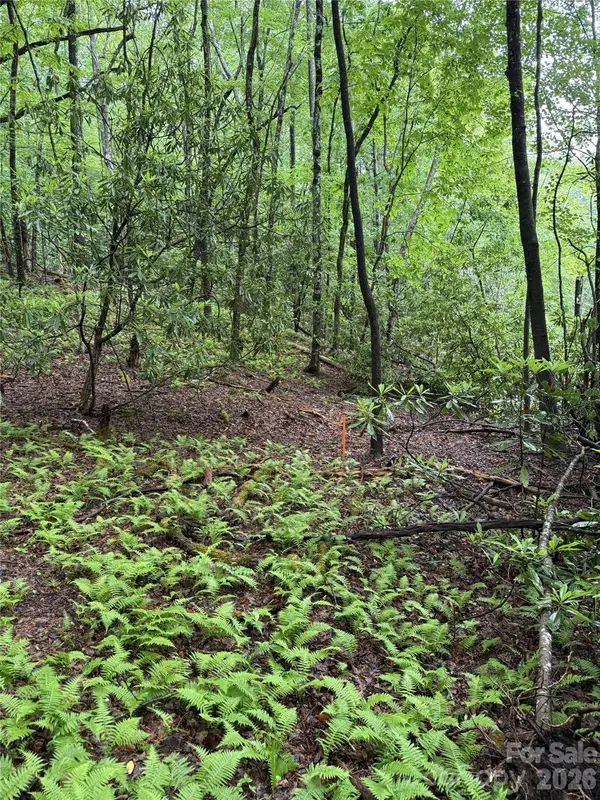 Lot 68 Cherrywood Lane, Pisgah Forest, NC 28768