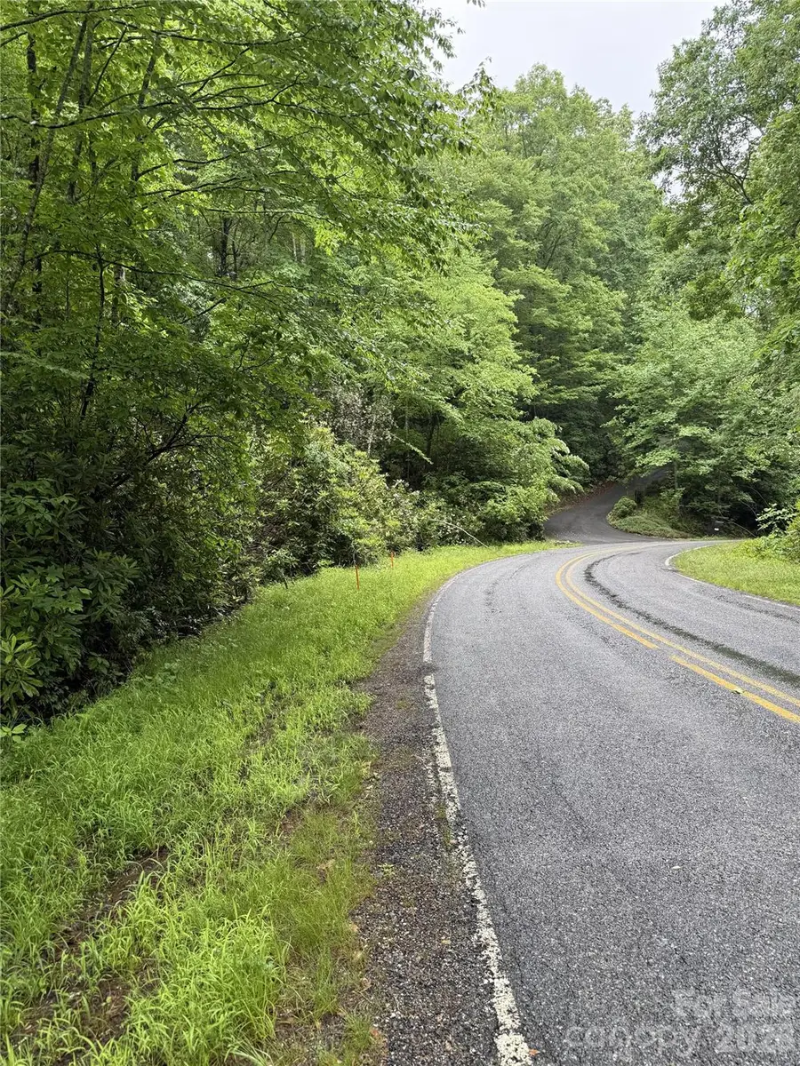 Lot 68 Cherrywood Lane, Pisgah Forest, NC 28768 - #2