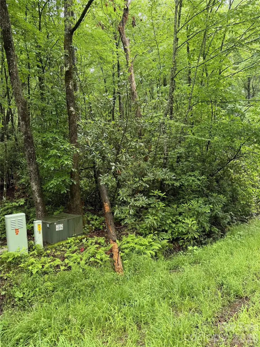 Lot 68 Cherrywood Lane, Pisgah Forest, NC 28768 - #3