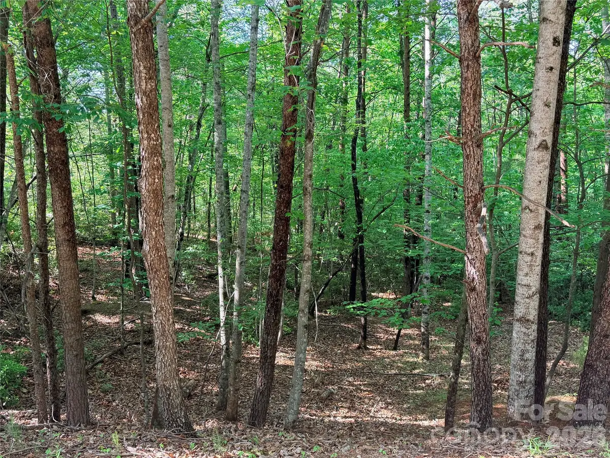 0 Mcdaniel Court, Lake Lure, NC 28746 - #1