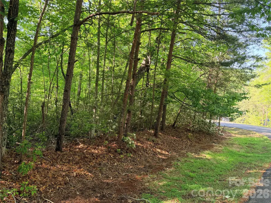 0 Mcdaniel Court, Lake Lure, NC 28746 - #2