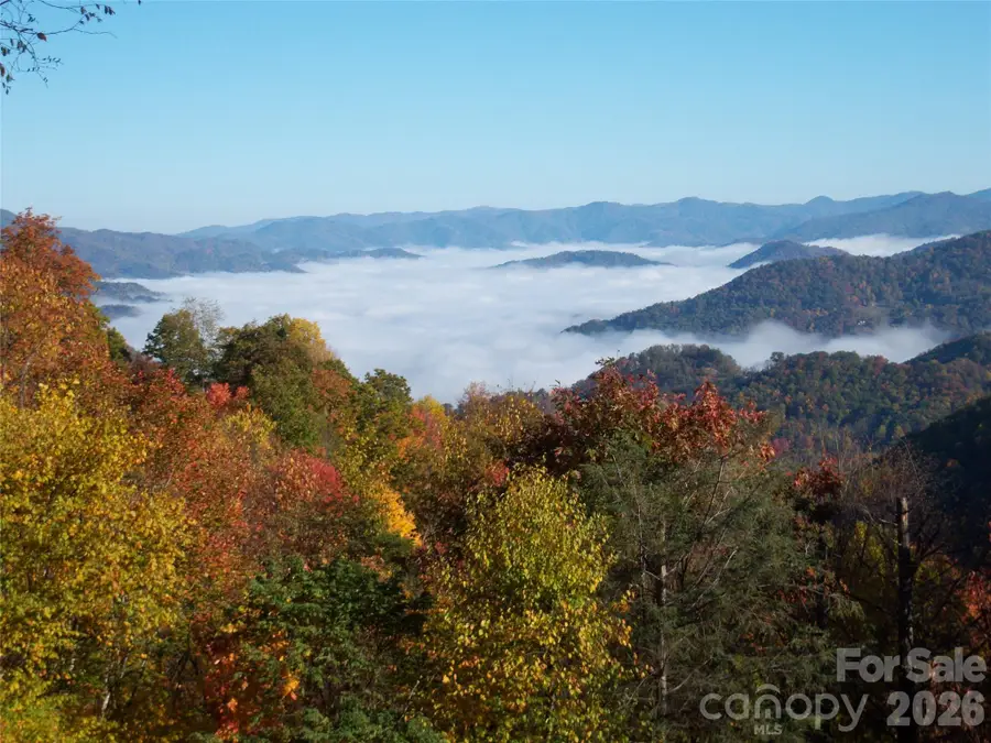40 Adohi Trail, Maggie Valley, NC 28751 - #2
