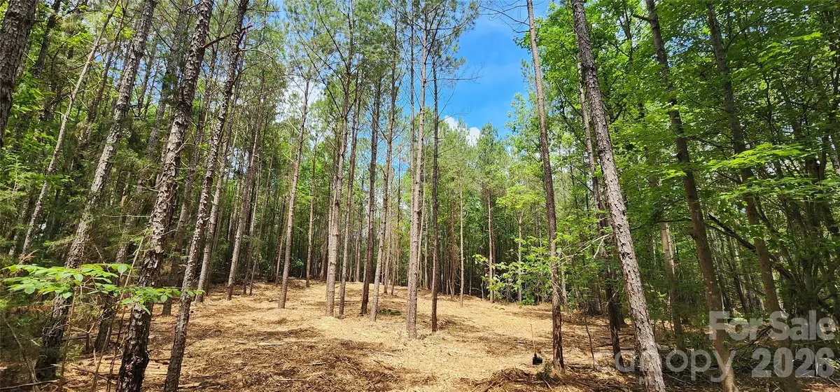 4870 Old Airport Road, Winnsboro, SC 29180 - #1