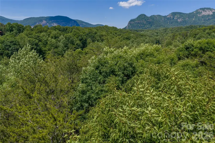 0000 View Trail, Lake Lure, NC 28746 - #2