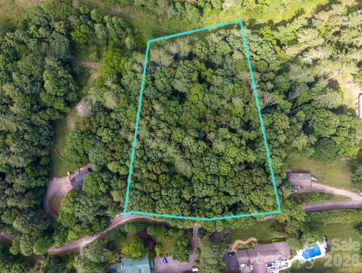 99999 Paramount Drive, Leicester, NC 28748 - #1