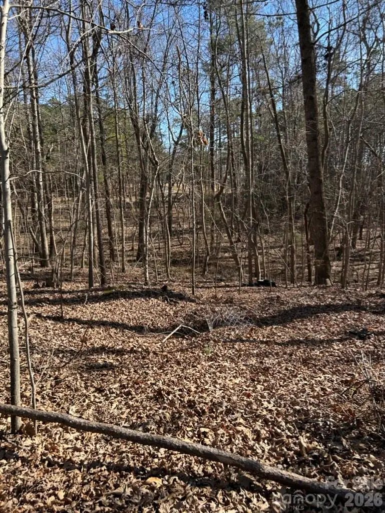 000 Alfred Road, Fort Mill, SC 29708 - #2