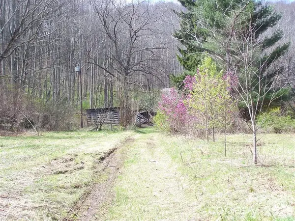 58 Collier Lane, Waynesville, NC 28786