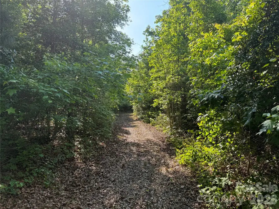 TBD Murray Manor Road, Rockingham, NC 28379 - #3