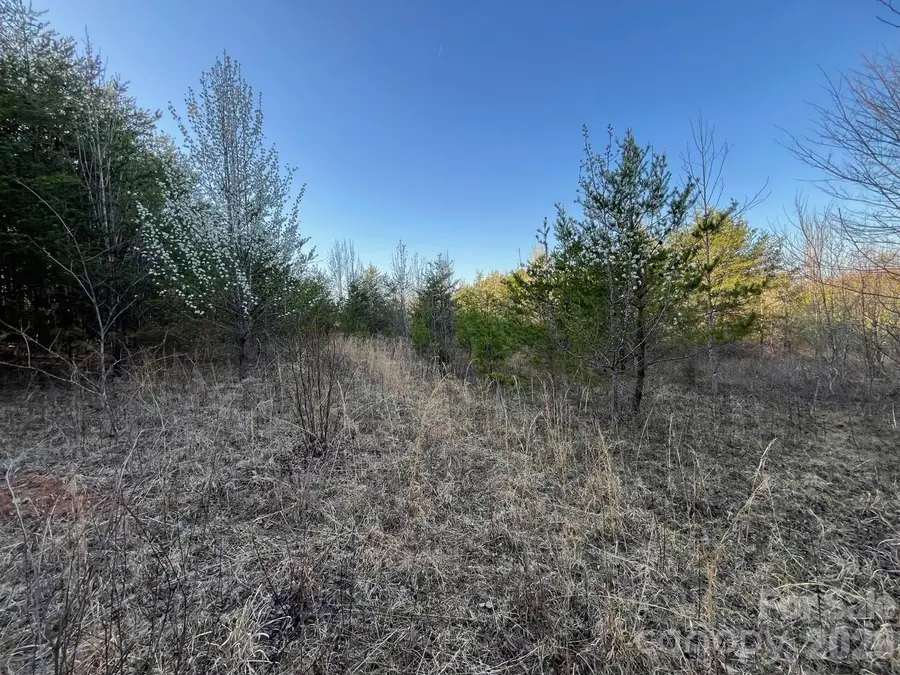 TBD Southern Way, Nebo, NC 28761 - #2