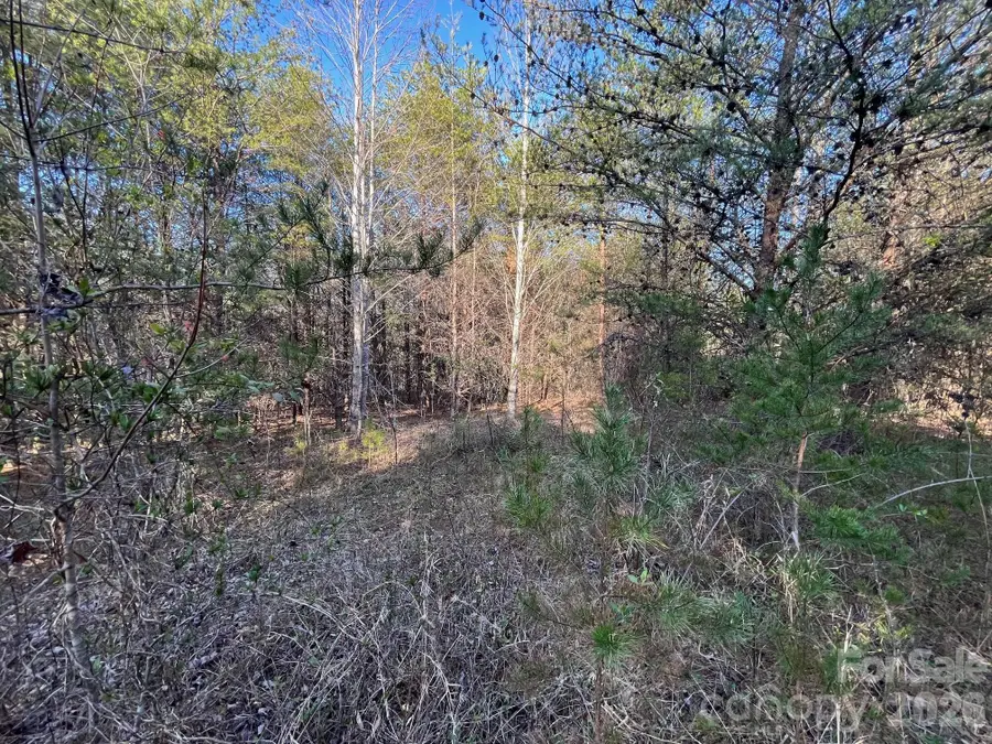 TBD Southern Way, Nebo, NC 28761 - #3