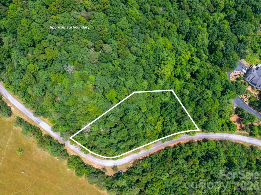 288 Eastman Place, Mill Spring, NC 28756 - #2