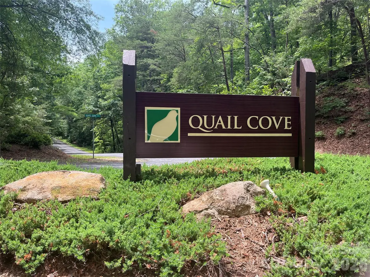 155 Quail Cove Boulevard #1608, Lake Lure, NC 28746 - #1
