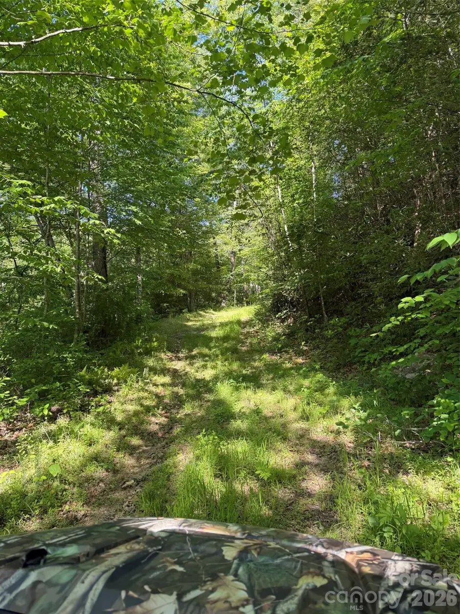 Lot 8 Parker Padgett Road, Old Fort, NC 28762 - #2