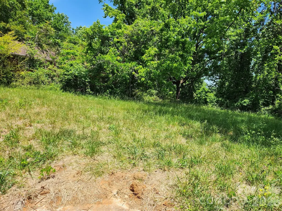 11 Weaver Hill Road, Asheville, NC 28805 - #1