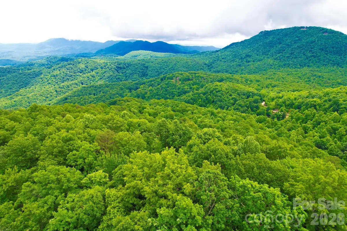 215 Laurel Mountain Trail #10, Black Mountain, NC 28711 - #1