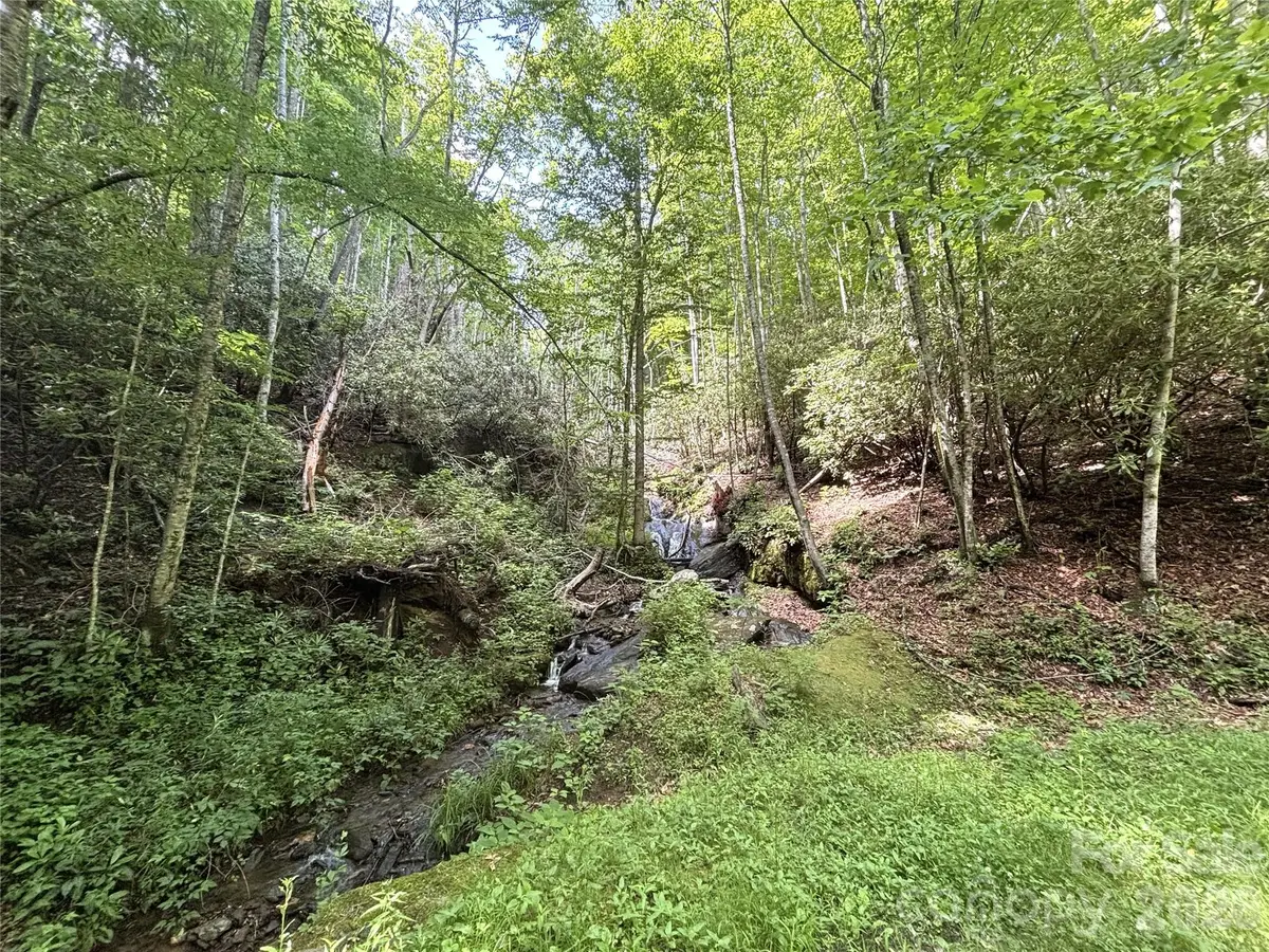 000 Valley View Drive, Maggie Valley, NC 28751 - #1