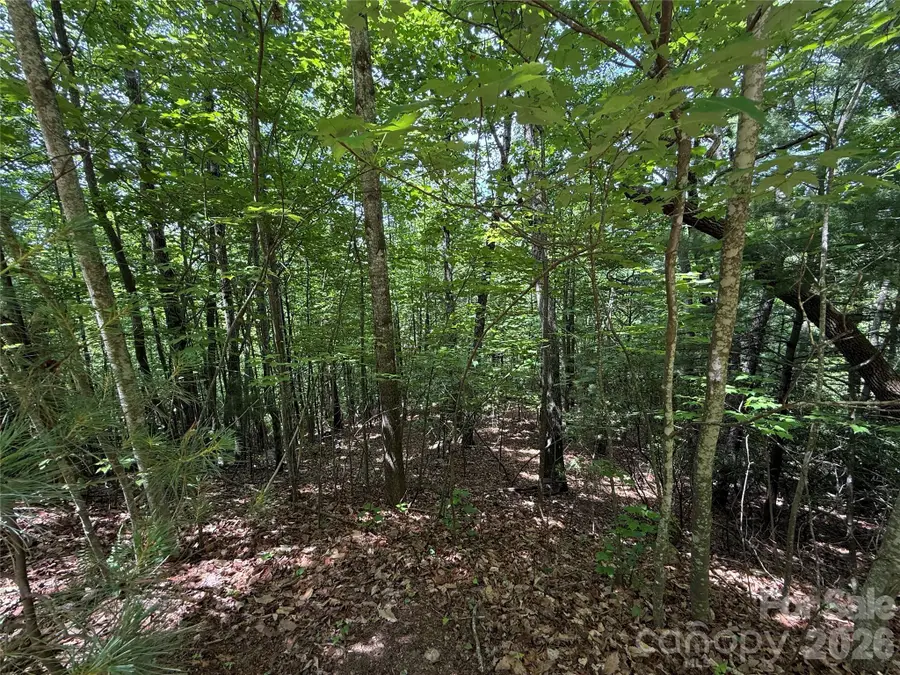TBD Warren Way #132A, Purlear, NC 28665 - #2