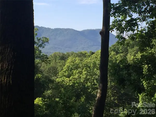 20 Lagrange Drive, Asheville, NC 28805