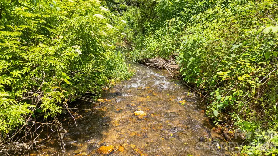 923 Newfound Road, Leicester, NC 28748 - #2