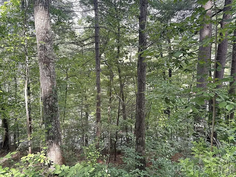 000 Toms Park Circle #66, Hendersonville, NC 28792 - #2