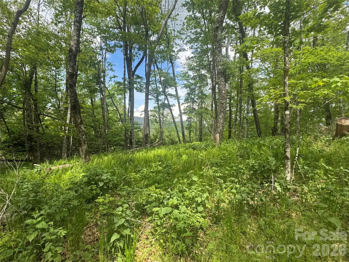 1026 Wolfs Head Court, Mars Hill, NC 28754 - #1