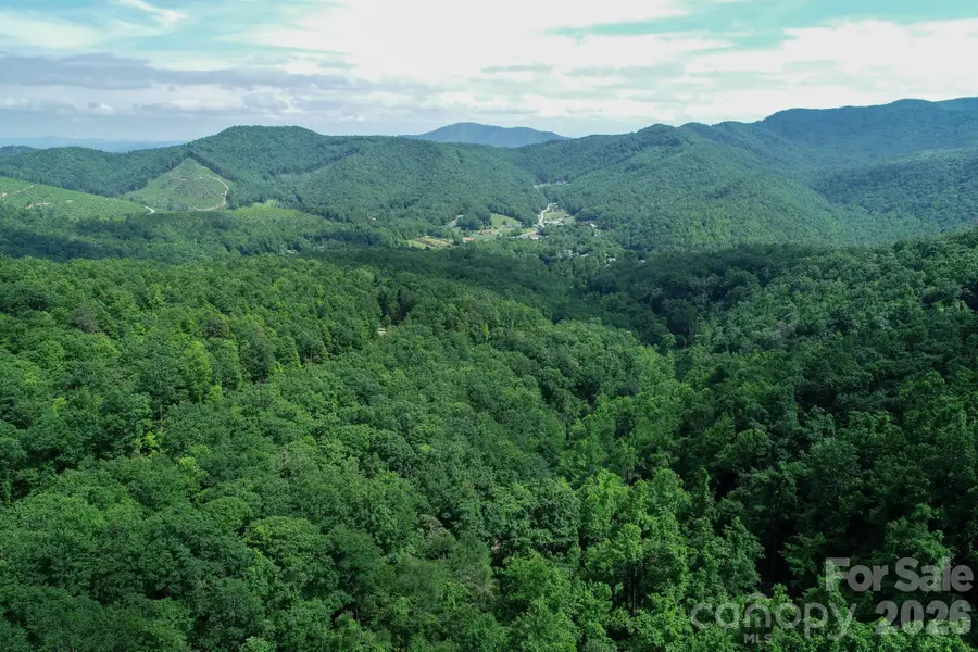 1299 Pine Ridge Road, Burnsville, NC 28714 - #2