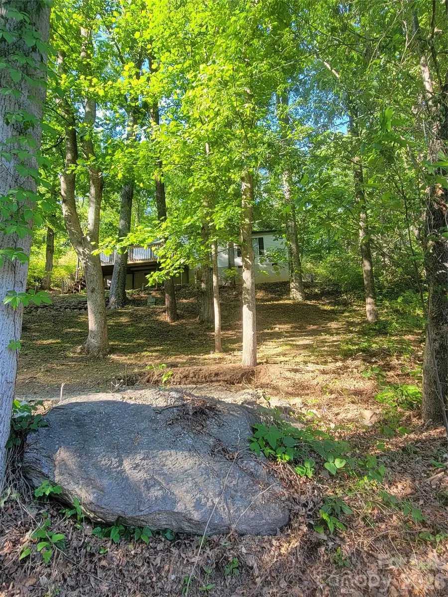 138 Buddy Lane, Chimney Rock, NC 28720 - #3