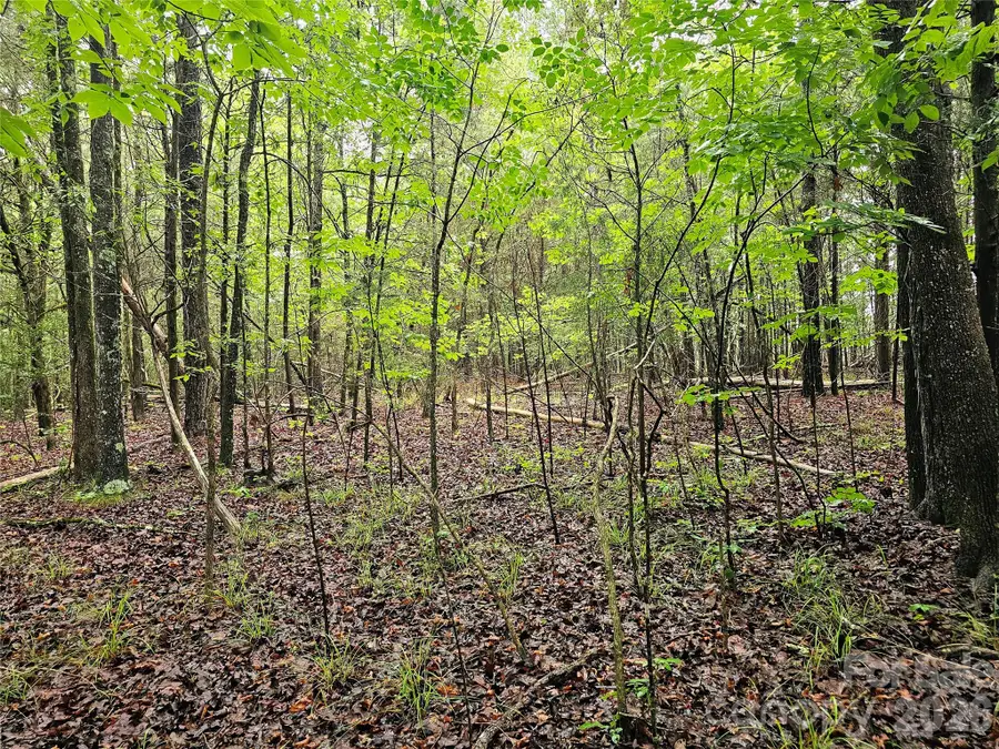 0000 Shirley Road, Fort Lawn, SC 29714 - #2